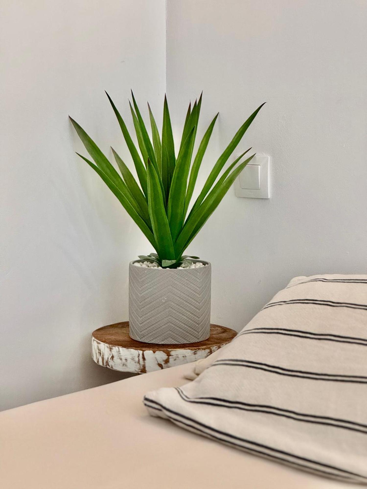 Amety Apartment Colmar Bagian luar foto